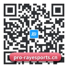 系统版 Android 二维码